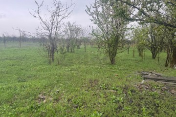 Фото №4: Земельный участок под ИЖС 7 сот. - Козет, мкр. СТ Яблонька, ул. Абрикосовая, 14