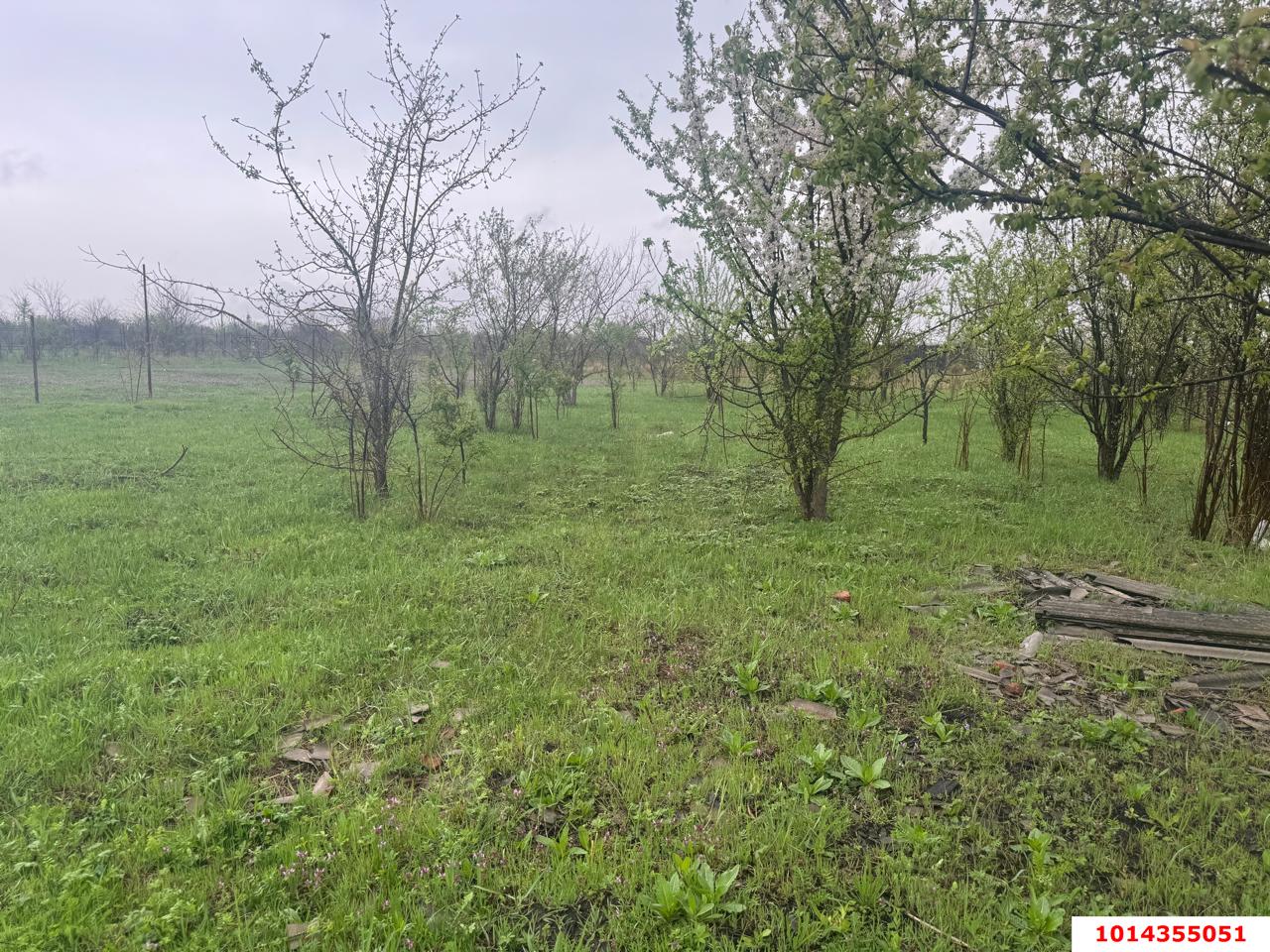 Фото №4: Земельный участок под ИЖС 7 сот. - Козет, СТ Яблонька, ул. Абрикосовая, 14
