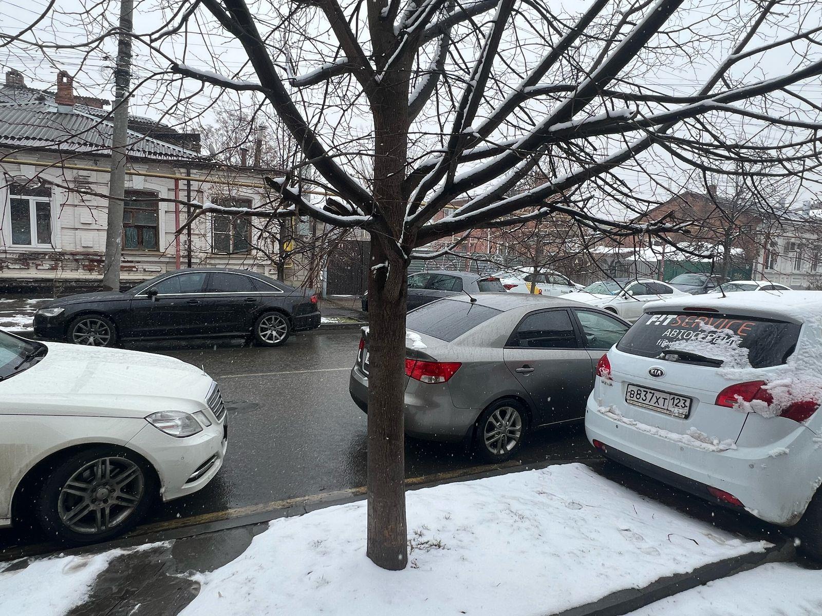 Фото №6: Коммерция 45 м² - Краснодар, Центральный внутригородской округ, мкр. Центральный, ул. Янковского, 33