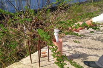 Фото №3: Земельный участок 17 сот. - Козет, ул. Хакурате, 69