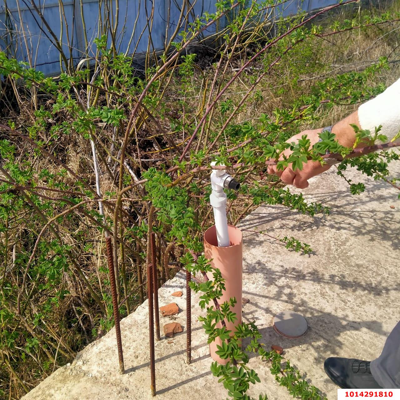 Фото №3: Земельный участок под ИЖС 17 сот. - Козет, ул. Хакурате, 69