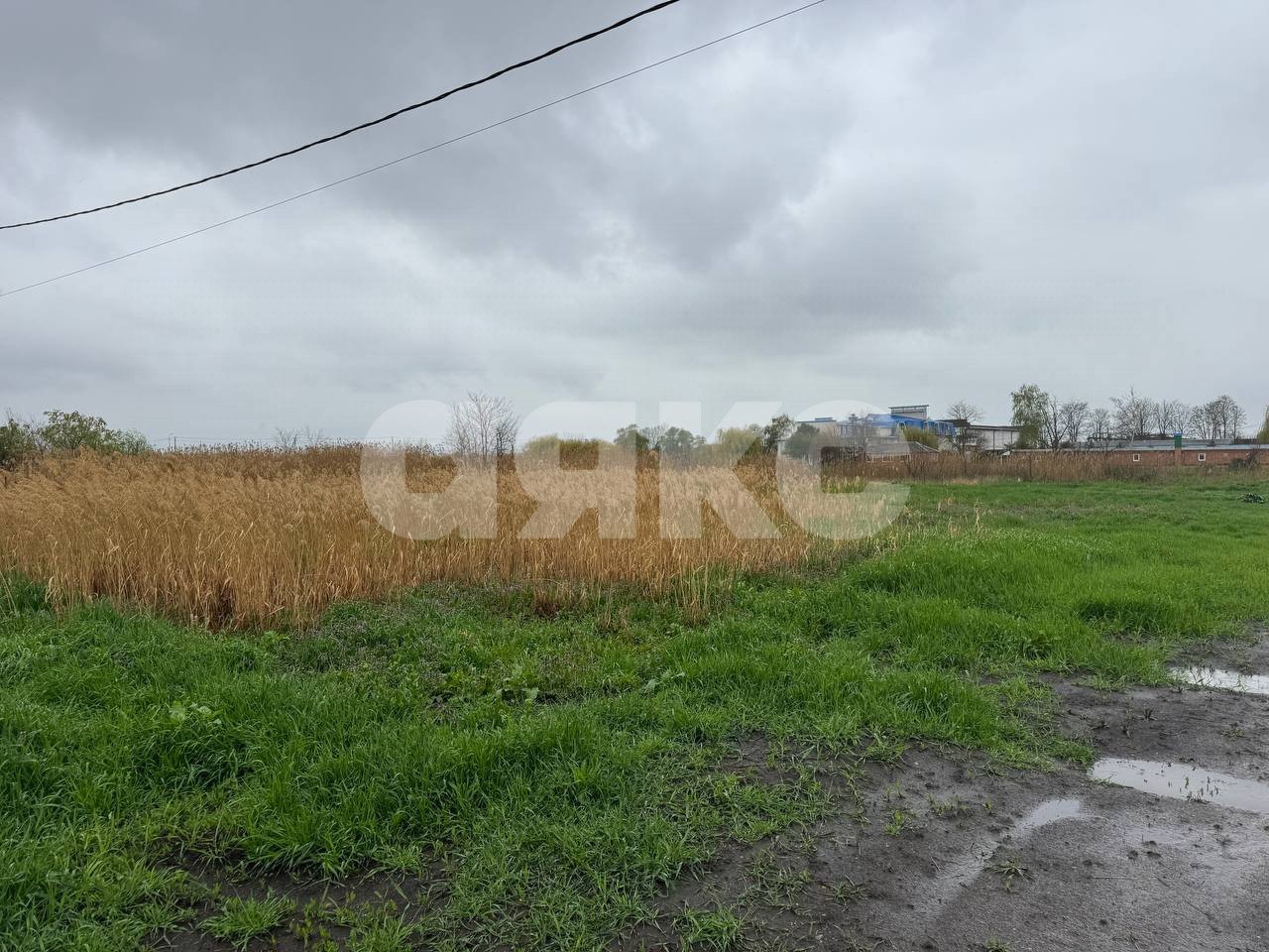 Фото №3: Земельный участок под ИЖС 9.85 сот. - Кореновск, 1-й квартал, 