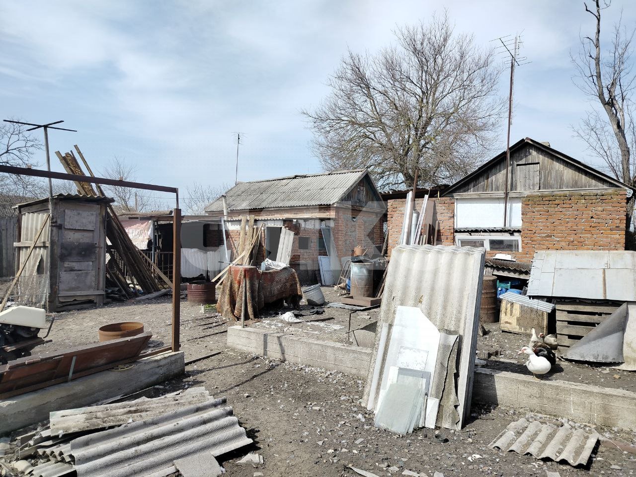 Фото №14: Личное подсобное хозяйство 22 сот. - Журавская, ул. Братская, 27