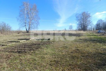 Фото №4: Личное подсобное хозяйство - Железня, 28