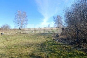 Фото №3: Личное подсобное хозяйство - Железня, 28