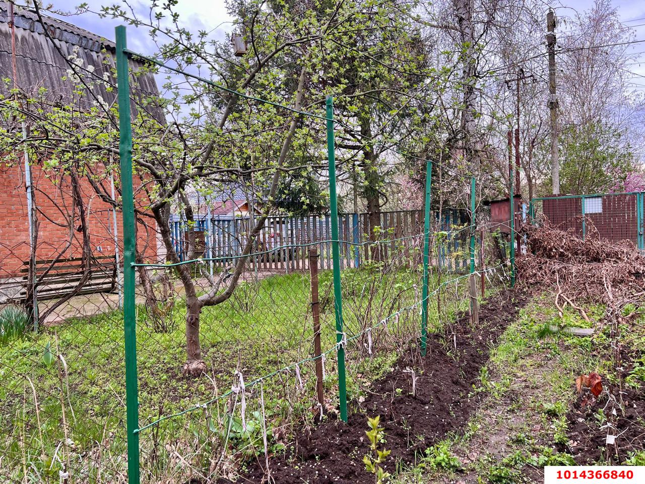 Фото №6: Личное подсобное хозяйство - Ленина, Карасунский внутригородской округ, снт Белая Чайка, ул. Клубничная, 15