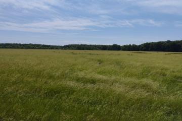 Фото №3: Коммерция 249 м² - Адыгейск, ул. Промышленная, 8