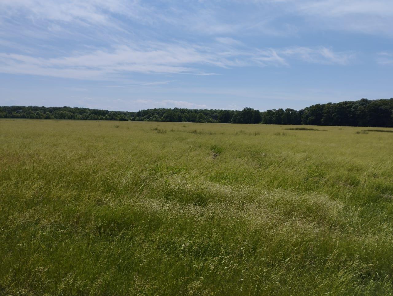 Фото №3: Коммерция 249 м² - Адыгейск, ул. Промышленная, 8