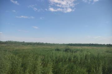 Фото №2: Коммерция 249 м² - Адыгейск, ул. Промышленная, 8