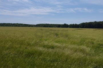 Фото №3: Коммерческая земля 249 сот. - Адыгейск, ул. Промышленная, 8