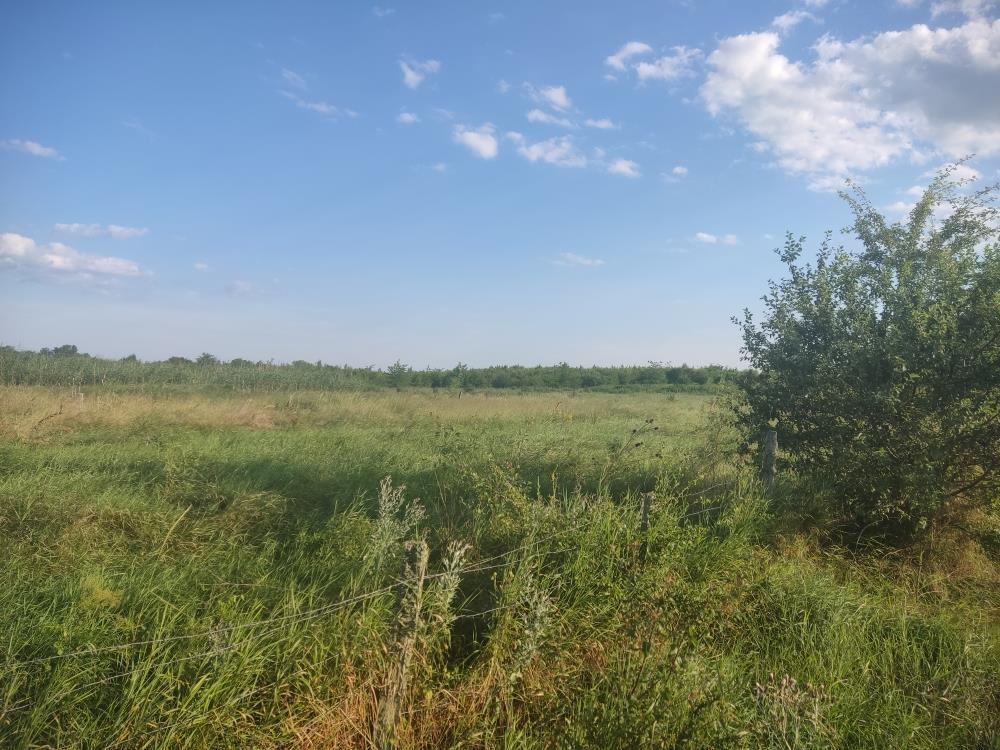 Фото №1: Коммерция 249 м² - Адыгейск, ул. Промышленная, 8