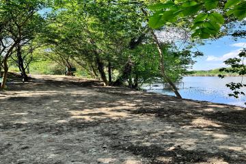 Фото №3: Земельный участок 30 сот. - Казачий, ул. Магистральная, 122