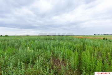 Фото №3: Участок садоводство 200 сот. - Ленина, мкр. Карасунский внутригородской округ, 4