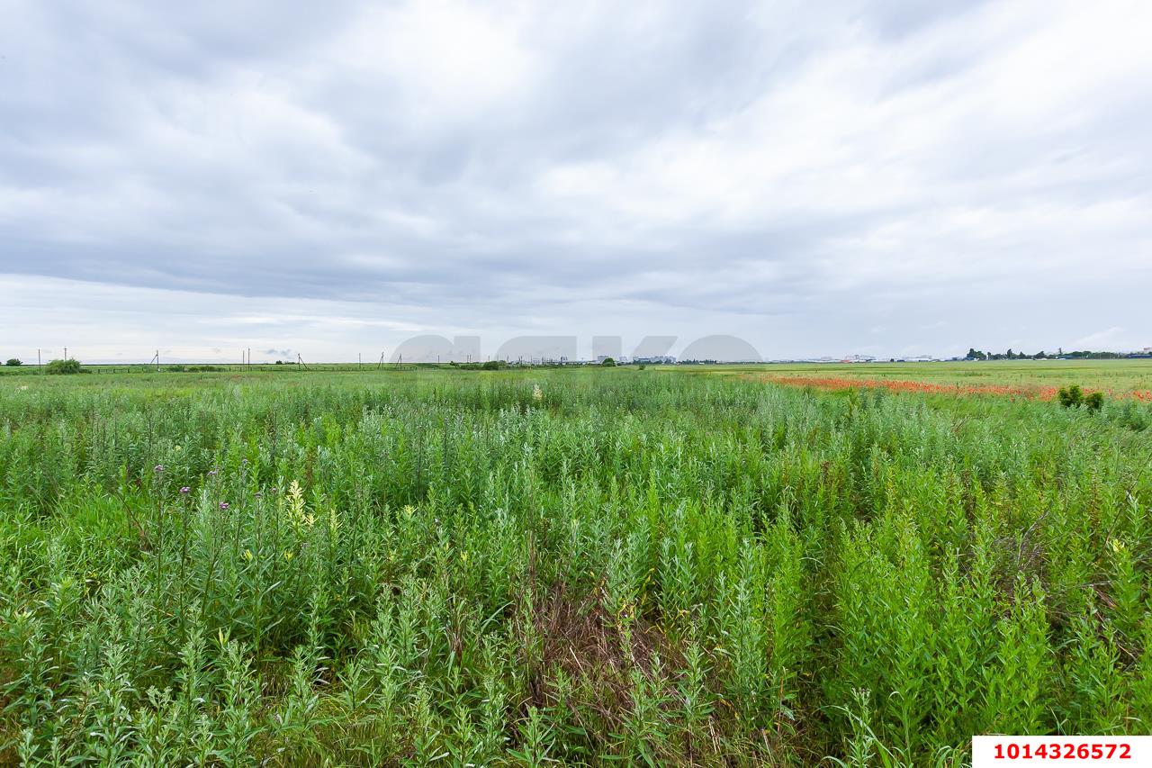 Фото №3: Земельный участок 200 сот. - Ленина, мкр. Карасунский внутригородской округ, 4