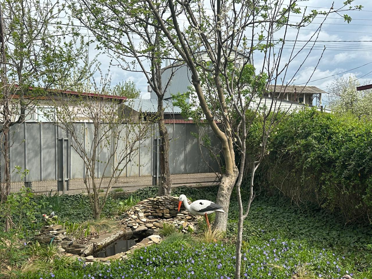 Фото №13: Дом 50 м² + 4 сот. - СНТ Автомобилист, ул. Апельсиновая, 103