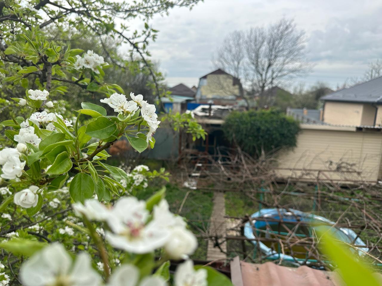 Фото №17: Дом 50 м² + 4 сот. - СНТ Автомобилист, ул. Апельсиновая, 103