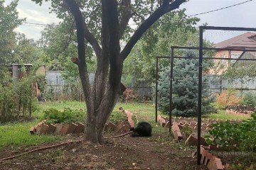 Фото №5: Дом 73 м² - Октябрь, мкр. Прикубанский внутригородской округ, ул. Сиреневая, 125А