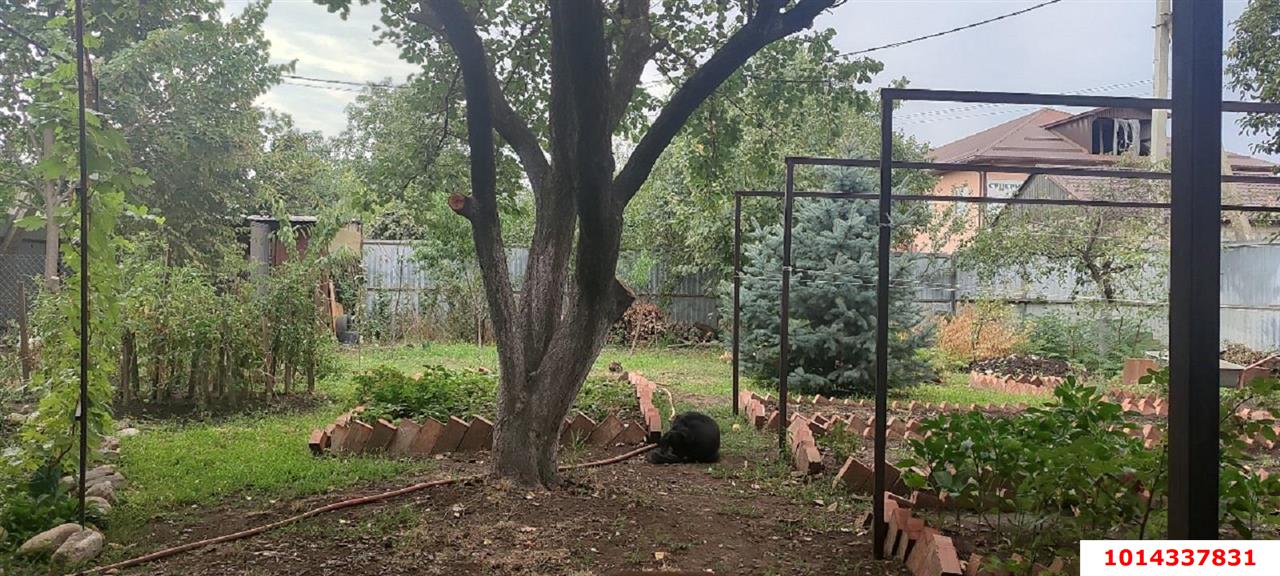 Фото №5: Дом 73 м² + 6.21 сот. - Октябрь, Прикубанский внутригородской округ, ул. Сиреневая, 125А