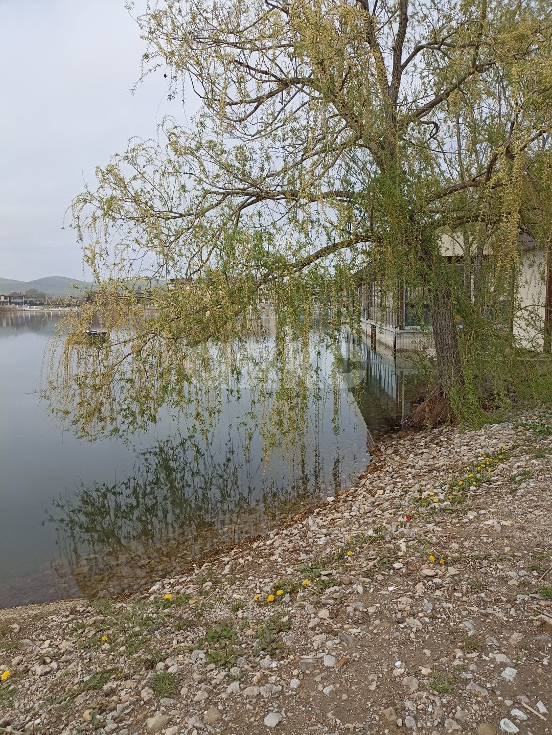 Фото №5: 1-комнатная квартира 57 м² - Горячий Ключ, Администрация, ул. Кучерявого, 50Б
