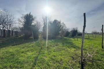 Фото №3: Земельный участок 19.98 сот. - Восточный, мкр. Прикубанский внутригородской округ, 4