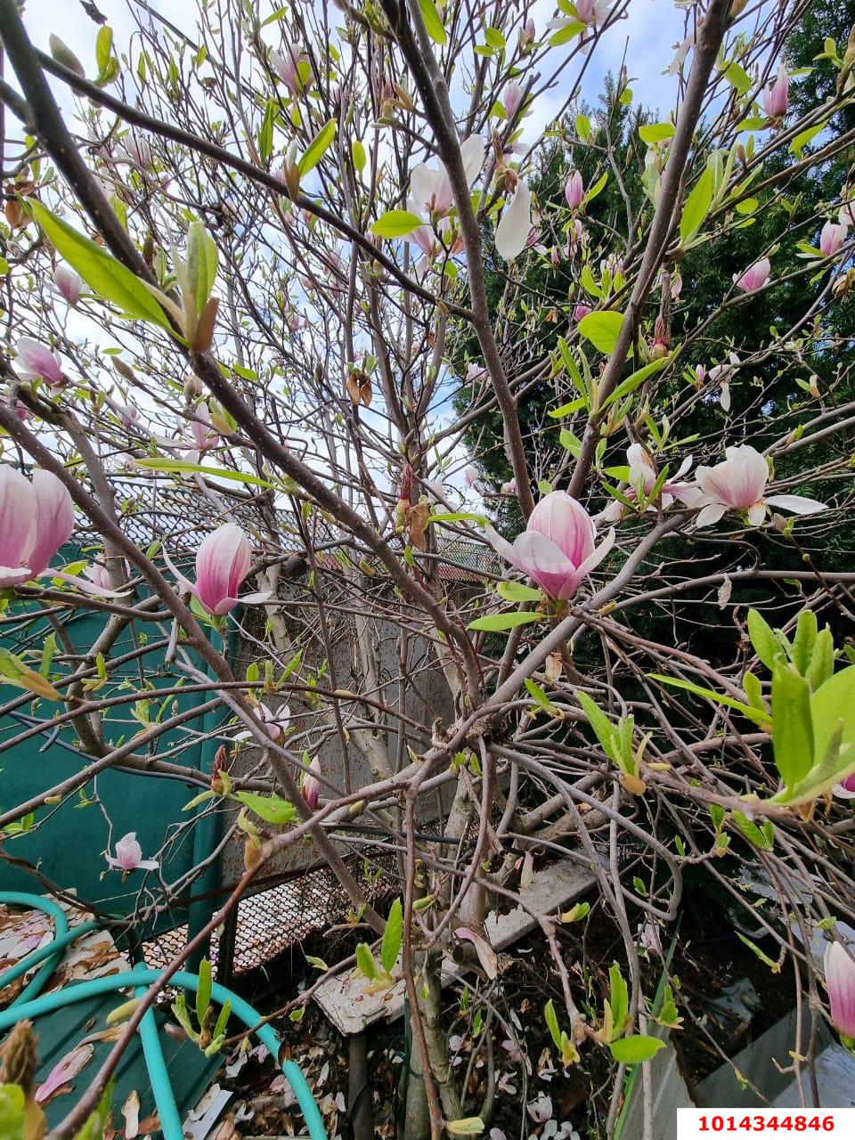 Фото №17: Дом 76 м² + 5 сот. - Краснодар, Славянский, ул. Заполярная, 3