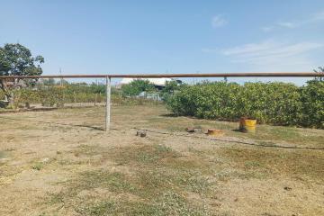 Фото №5: Дом 55 м² - Трудобеликовский, ул. Набережная, 164