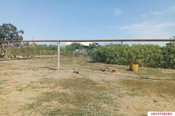 Фото №5: Дом 55 м² - Трудобеликовский, ул. Набережная, 164