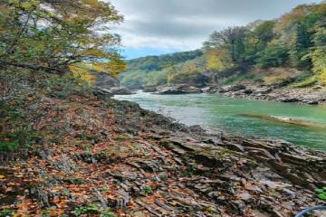 Фото №5: Земельный участок 5 сот. - Удобный, ул. Звёздная, 13