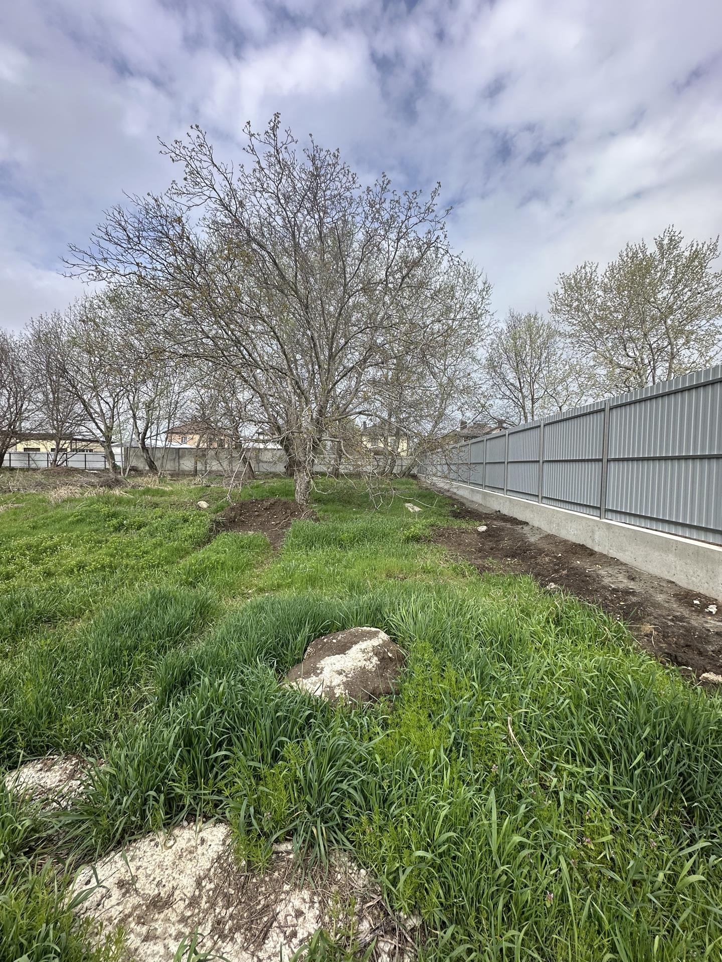 Фото №5: Земельный участок 6.63 сот. - Колосистый, мкр. Прикубанский внутригородской округ, ул. Гвардейская, 6А