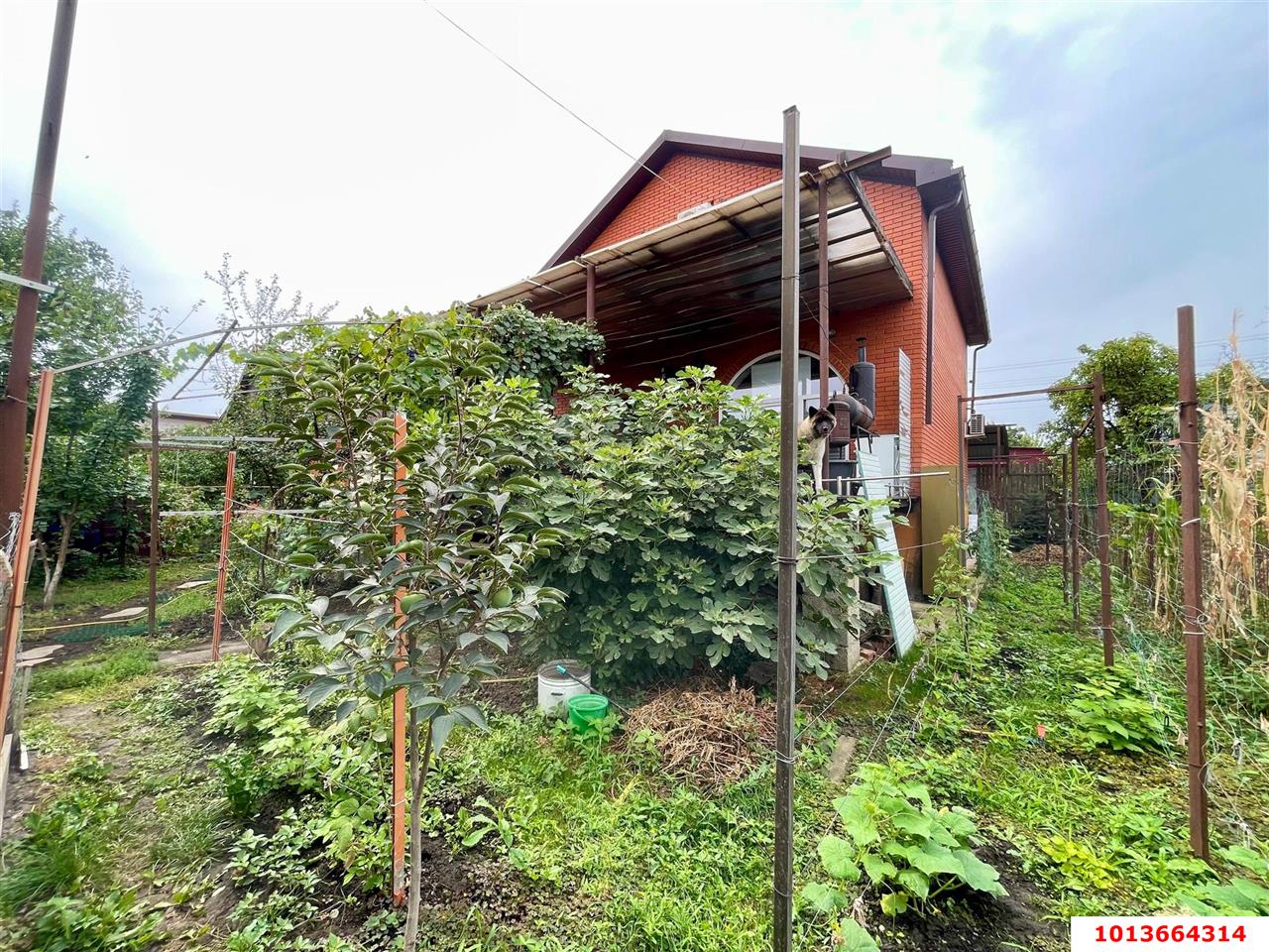 Фото №16: Дом 200 м² + 3.99 сот. - Знаменский, Изобильное, ул. Яблоневая, 259