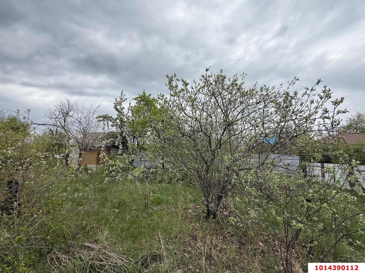 Фото №12: Дом 14 м² + 4.11 сот. - СНТ Строитель, Прикубанский внутригородской округ, ул. Вишнёвая, 2