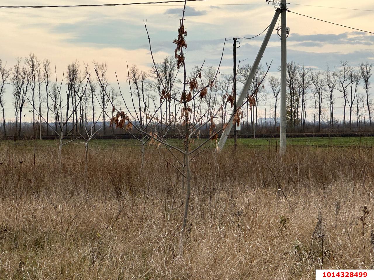 Фото №3: Земельный участок под ИЖС 8 сот. - Новый, Прикубанский внутригородской округ, ул. Соколиная, 9