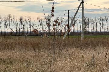 Фото №3: Земельный участок 8 сот. - Новый, мкр. Прикубанский внутригородской округ, ул. Соколиная, 9