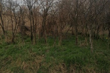 Фото №3: Земельный участок под ИЖС 23.38 сот. - Варениковская, 