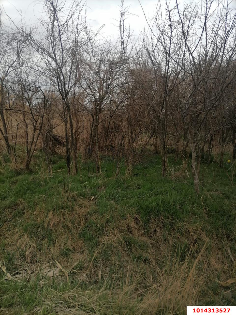 Фото №3: Земельный участок под ИЖС 23.38 сот. - Варениковская