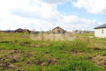 Фото №4: Личное подсобное хозяйство - Светлый Путь Ленина, ул. Восточная