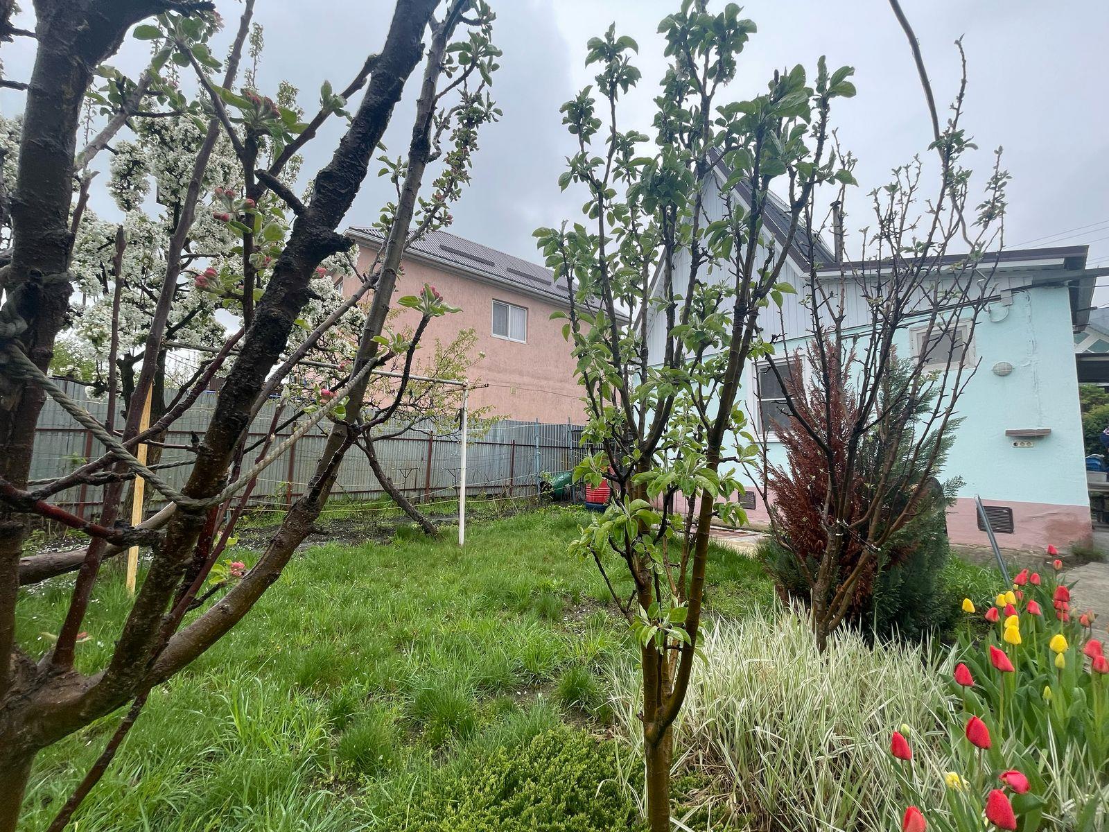 Фото №6: Дача 40 м² + 4 сот. - Урожайное, мкр. Карасунский внутригородской округ, ул. Алычёвая, 140