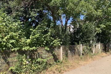 Фото №4: Участок садоводство 6.2 сот. - ТЭЦ, мкр. Прикубанский внутригородской округ, ул. Грушевая, 69