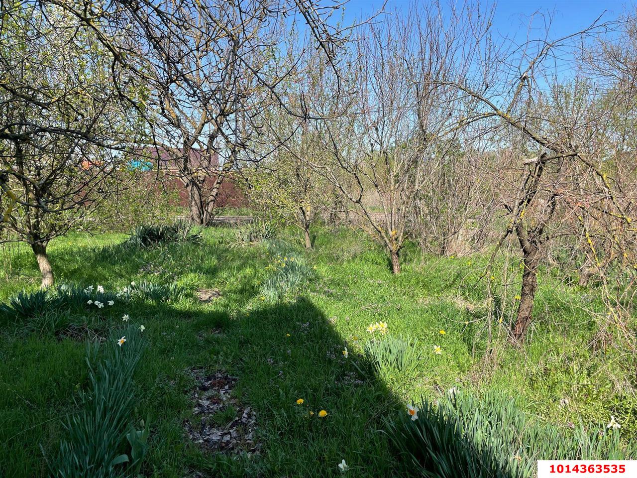 Фото №14: Дом 117 м² + 6.6 сот. - Елизаветинская, Прикубанский внутригородской округ, ст Мечта, 147