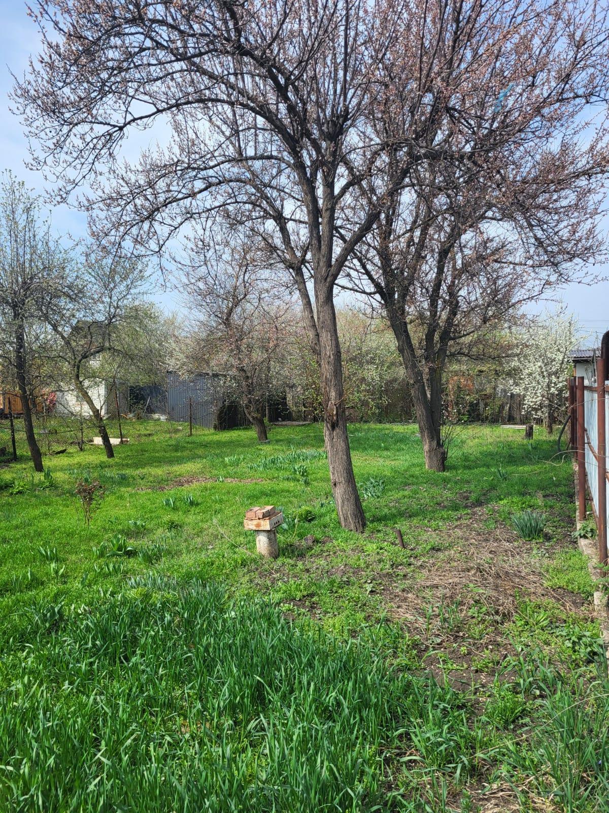 Фото №4: Земельный участок 4.14 сот. - Краснодар, Прикубанский внутригородской округ, Сады Калинина, ст КНИИСХ, ул. Земляничная, 238