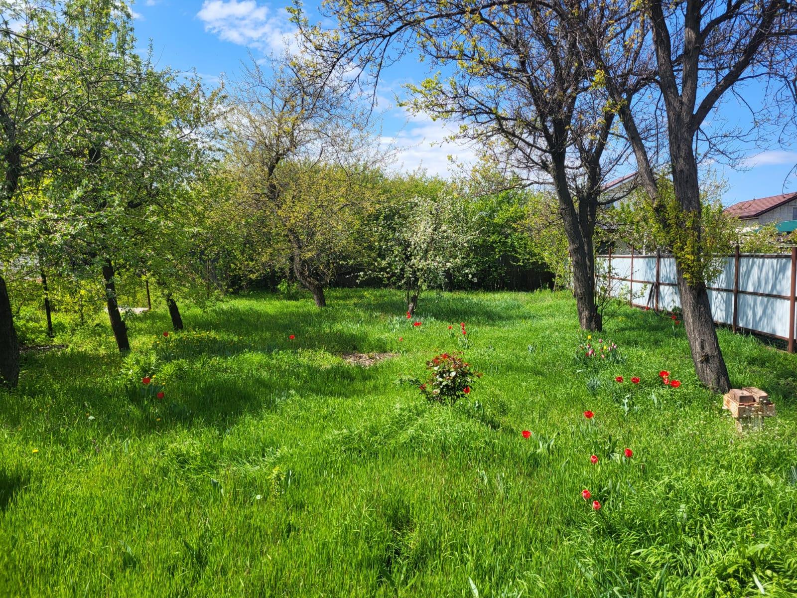 Фото №14: Земельный участок 4.14 сот. - Краснодар, Прикубанский внутригородской округ, Сады Калинина, ст КНИИСХ, ул. Земляничная, 238
