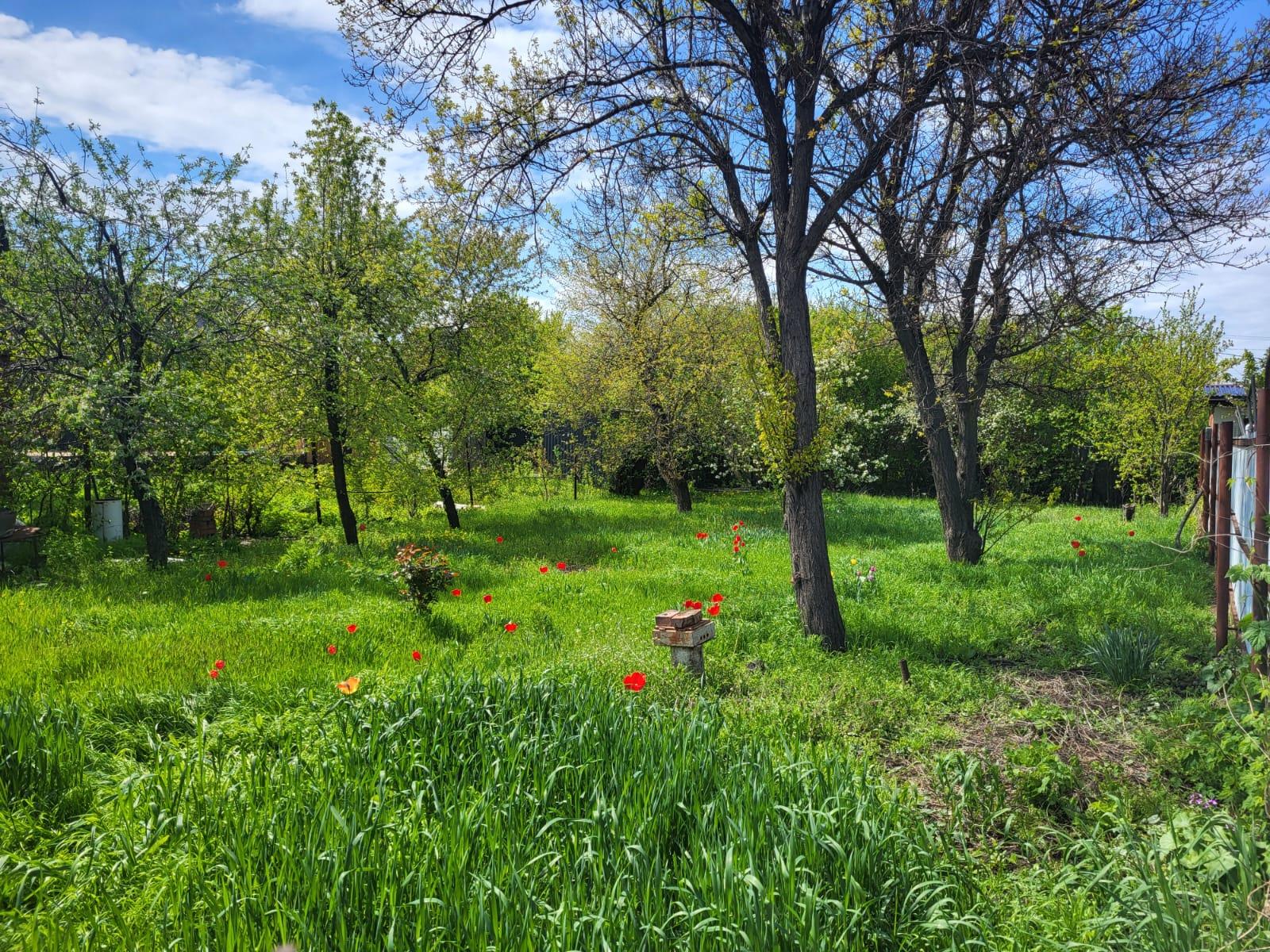 Фото №17: Земельный участок 4.14 сот. - Краснодар, Прикубанский внутригородской округ, Сады Калинина, ст КНИИСХ, ул. Земляничная, 238