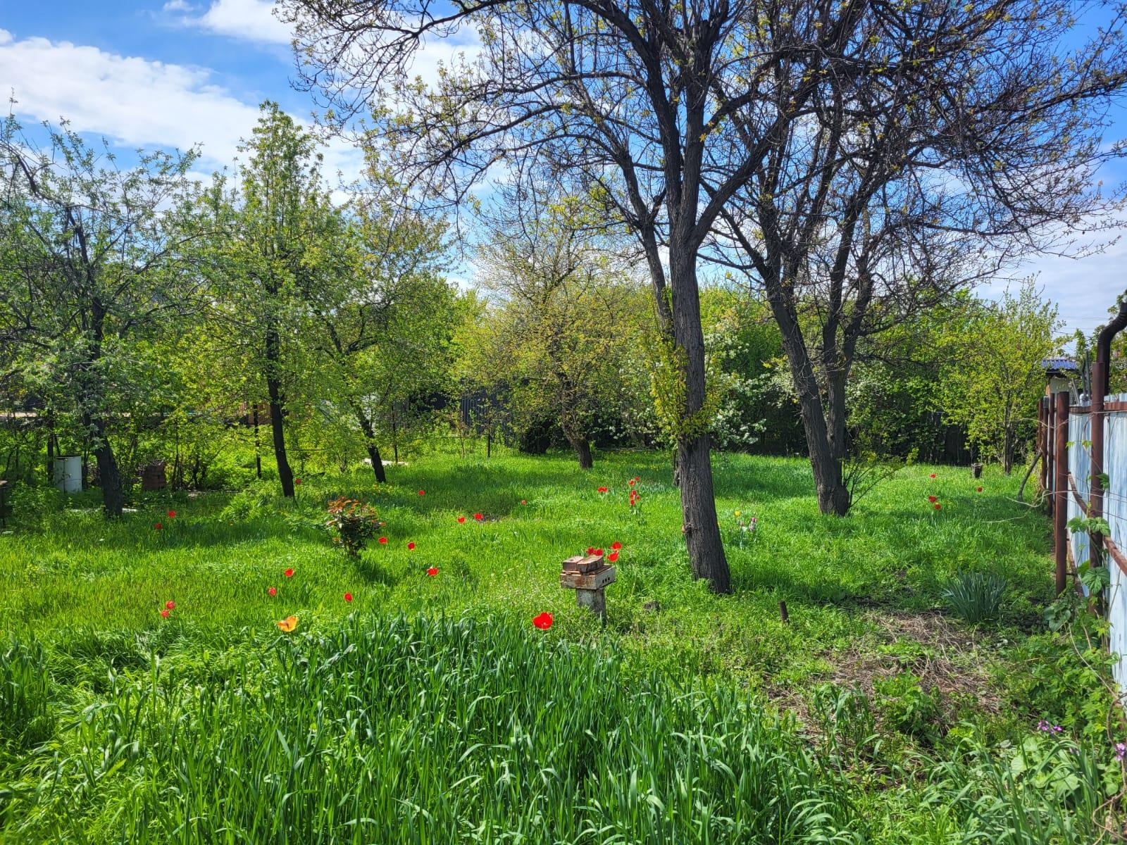 Фото №10: Земельный участок 4.14 сот. - Краснодар, Прикубанский внутригородской округ, Сады Калинина, ст КНИИСХ, ул. Земляничная, 238