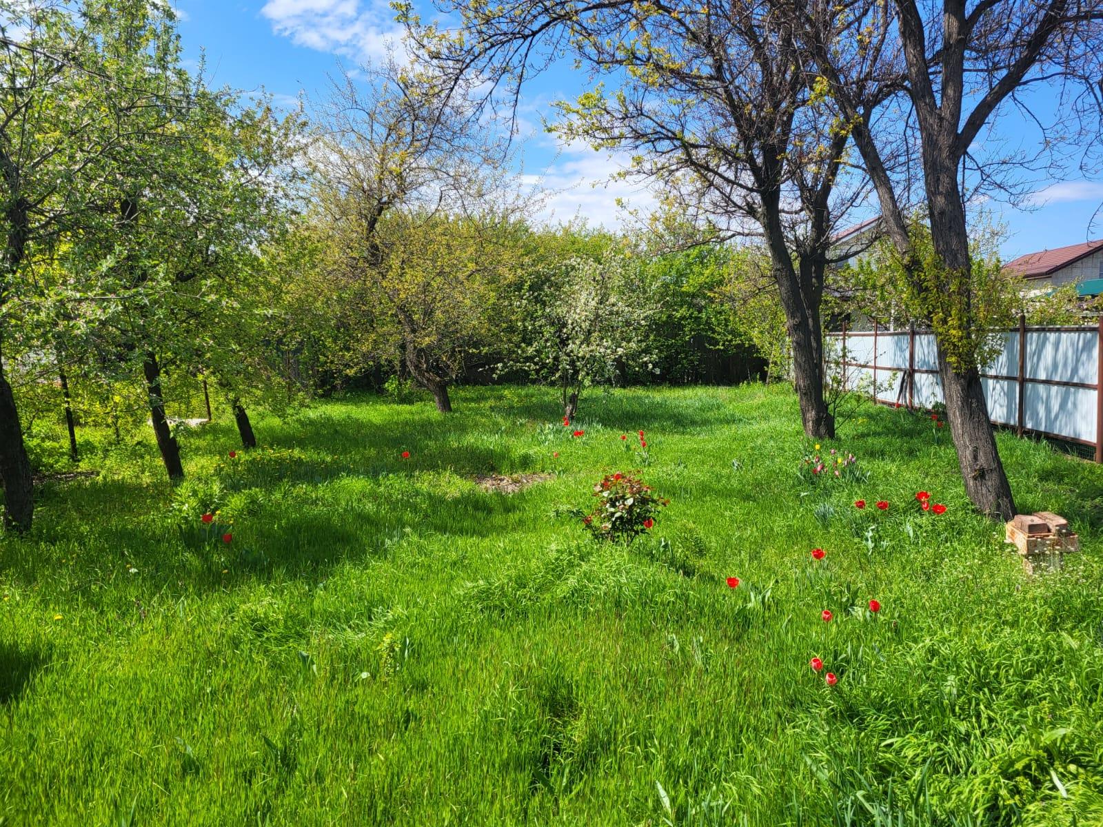 Фото №2: Земельный участок 4.14 сот. - Краснодар, Прикубанский внутригородской округ, Сады Калинина, ст КНИИСХ, ул. Земляничная, 238