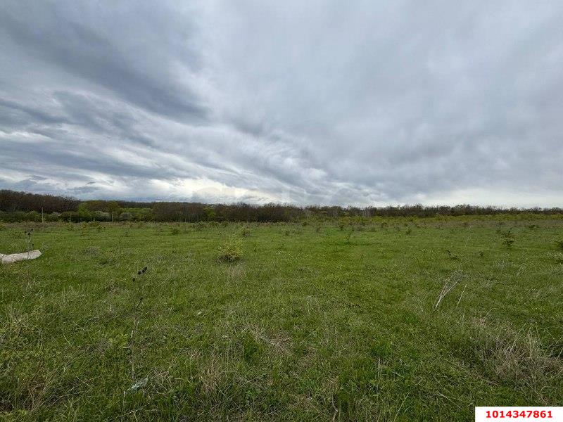 Фото №4: Коммерция 2500 м² - Республика Адыгея (Адыгея) Тахтамукайский район