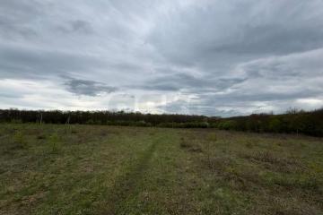 Фото №1: Коммерция 2500 м² - Республика Адыгея (Адыгея) Тахтамукайский район