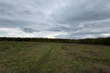 Фото №3: Коммерция 196 м² - Красноармейский, ул. Ворошилова, 16