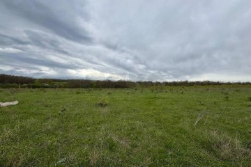 Фото №5: Коммерческая земля 197 сот. - Красноармейский, ул. Ворошилова, 16