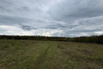 Фото №3: Коммерческая земля 197 сот. - Красноармейский, ул. Ворошилова, 16