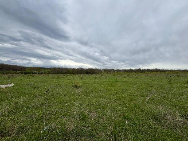 Фото №5: Коммерция 196 м² - Красноармейский, ул. Ворошилова, 16